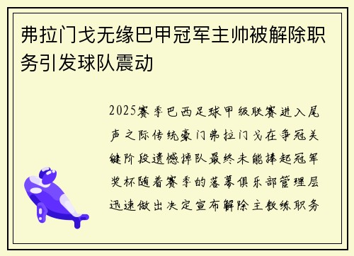弗拉门戈无缘巴甲冠军主帅被解除职务引发球队震动