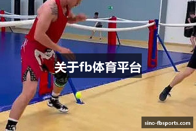 关于fb体育平台